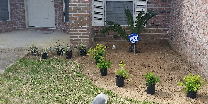 Landscaping